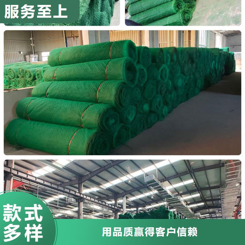 20242024土工网垫生产厂家-现货供应生产厂家