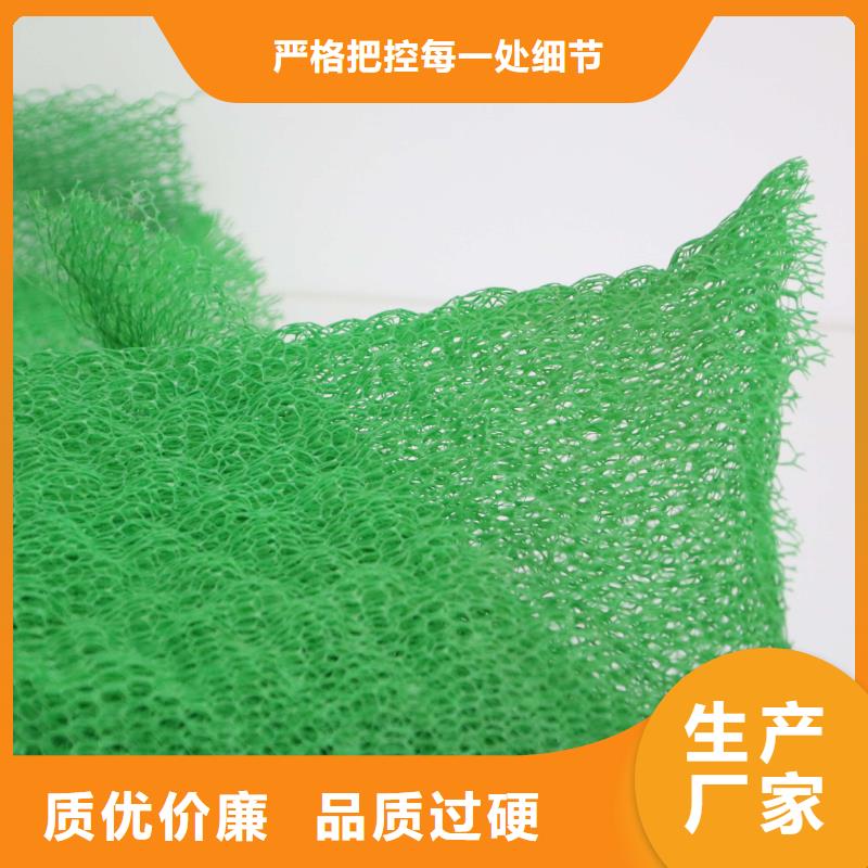 芜湖三维植被网垫生产厂家哪家好