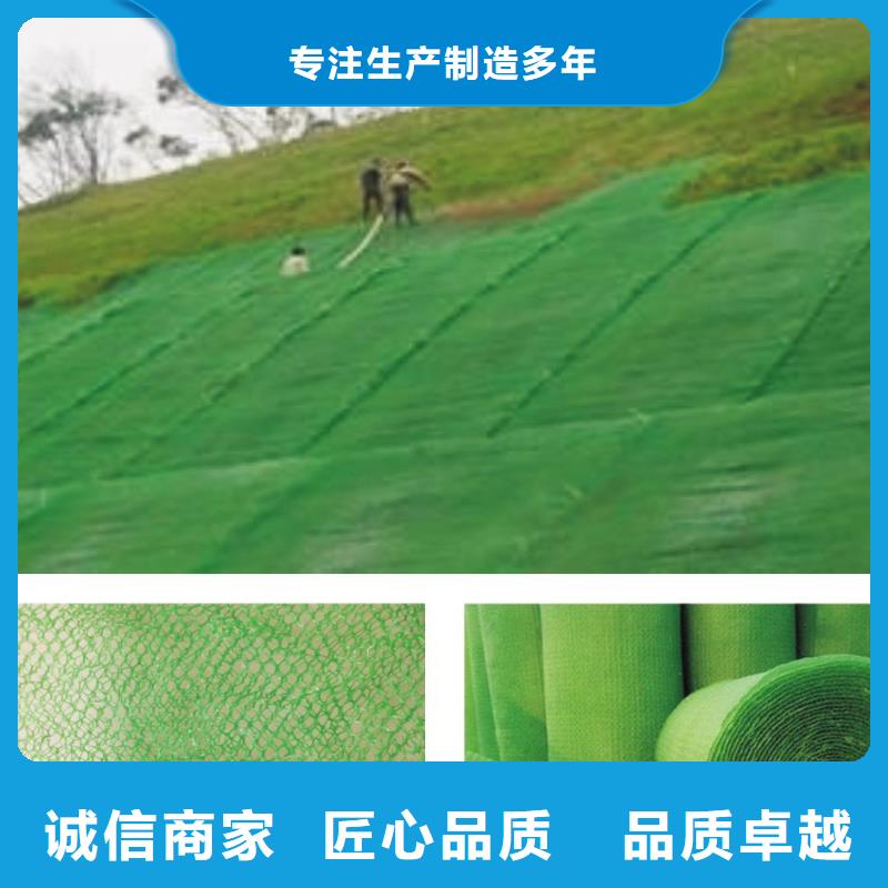 三维植被网-三维土工网垫实体厂家大量现货敢与同行比价格
