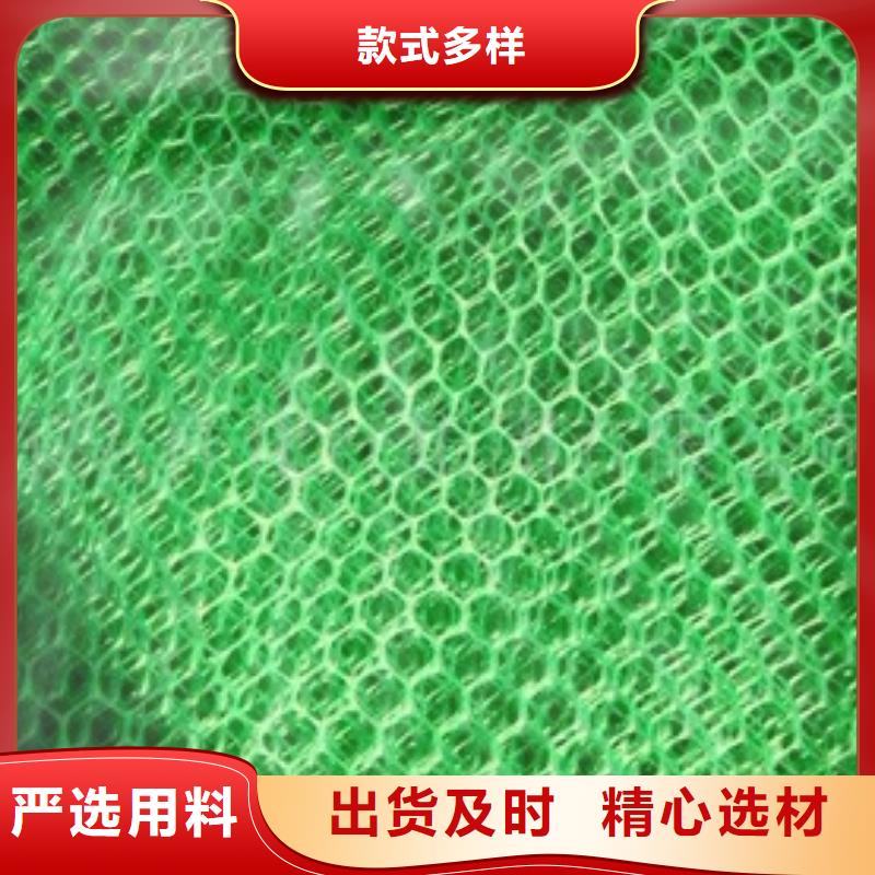 陵水县边坡防护三维植被网生产厂家-质优价廉