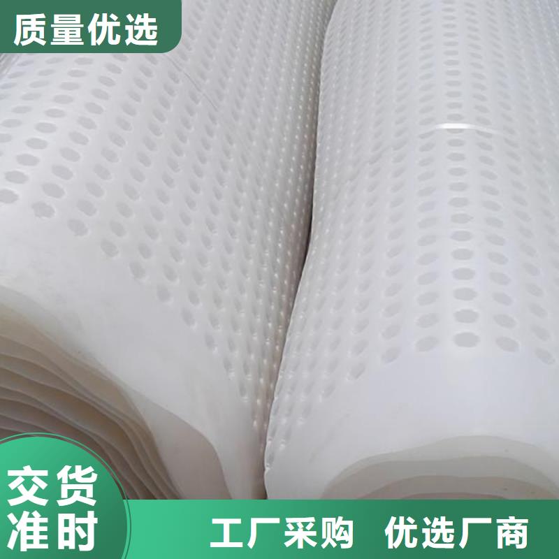 塑料排水板HDPE土工膜实体诚信厂家安心购