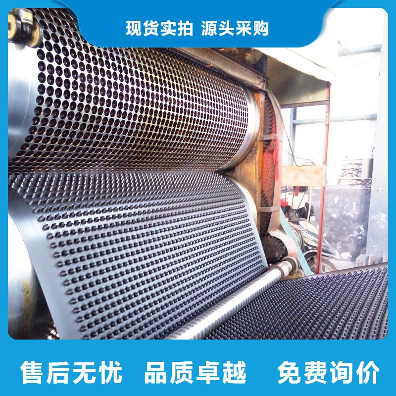 台湾塑料排水板钢塑土工格栅厂家精选