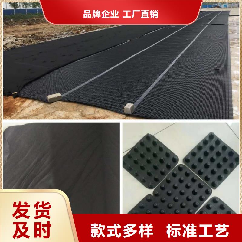 【塑料排水板】-钢塑土工格栅品质优选精选货源