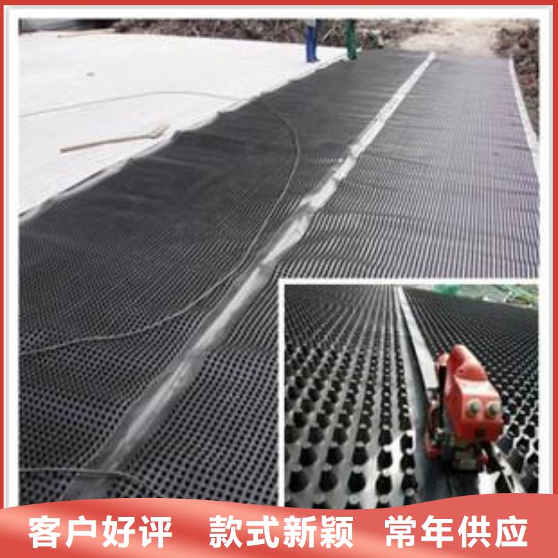 北京塑料排水板-钢塑土工格栅根据要求定制