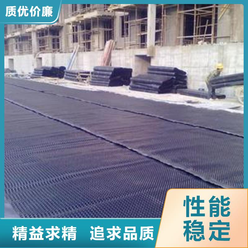 塑料排水板钢塑土工格栅厂家直销省心省钱附近货源