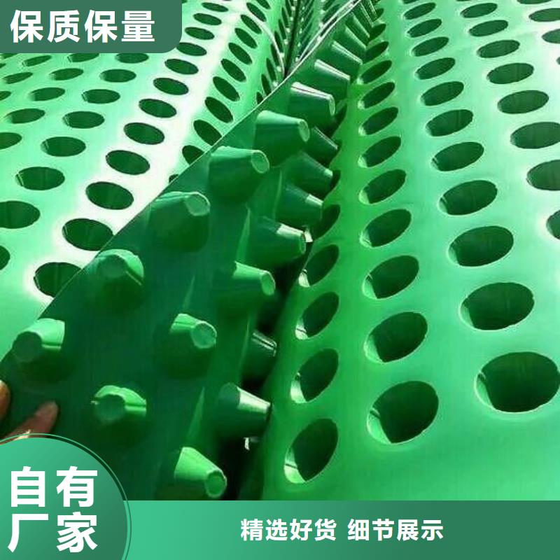 塑料排水板【三维土工网垫】量大从优厂家货源稳定