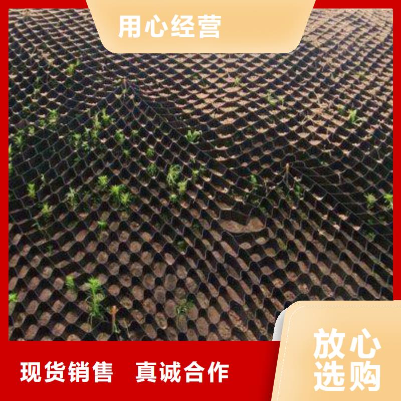 广东茂名护坡防水土工格室用途广泛-质优价廉