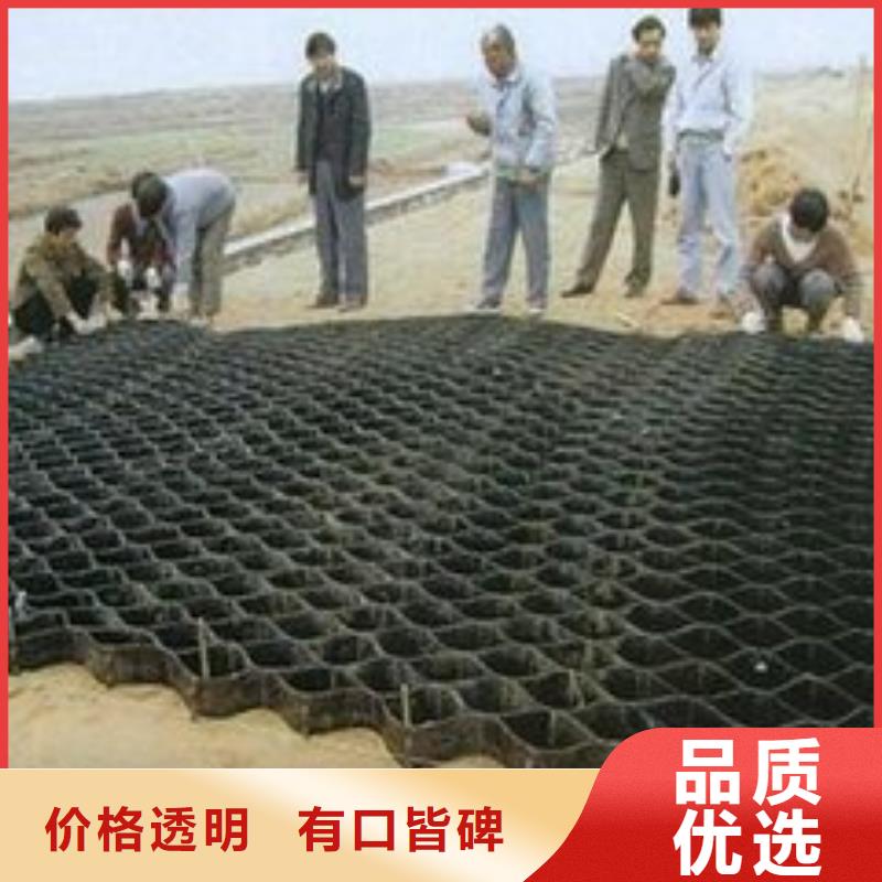 土工格室三维土工网垫为品质而生产选择大厂家省事省心