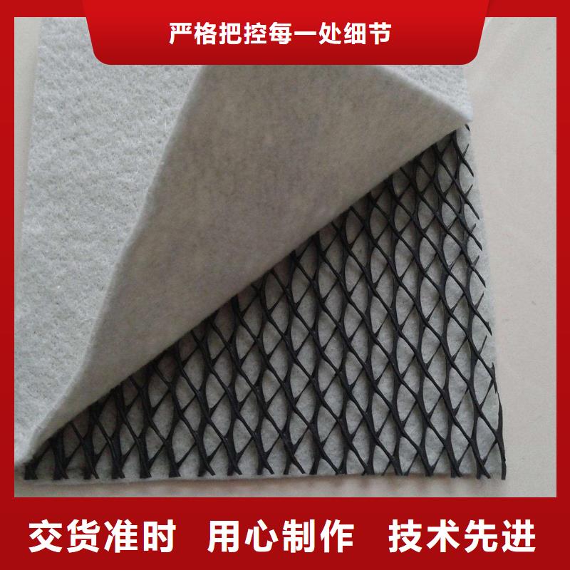 重庆三维复合排水网钢塑土工格栅货源直供