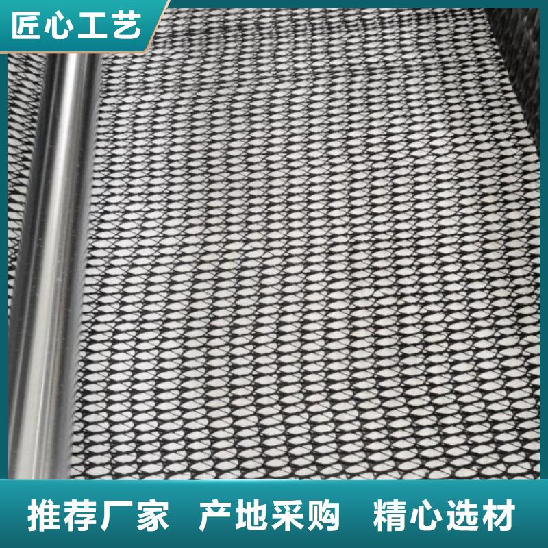 台湾三维复合排水网钢塑土工格栅订购