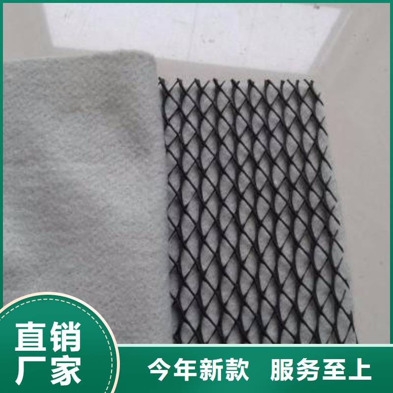 三维复合排水网【防水土工布】型号全价格低品质优良