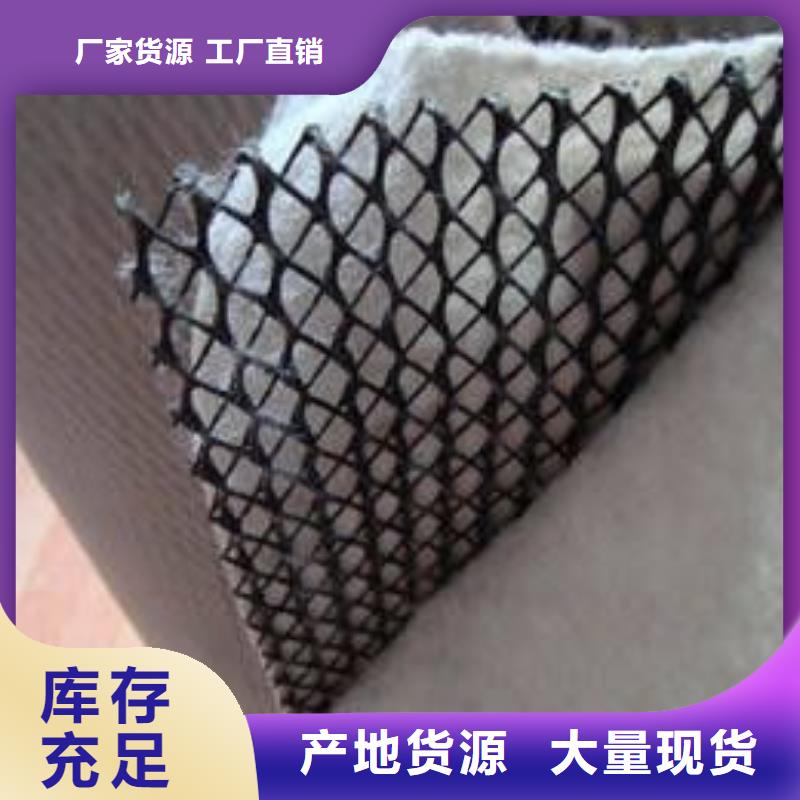 上海三维复合排水网钢塑土工格栅多种规格可选