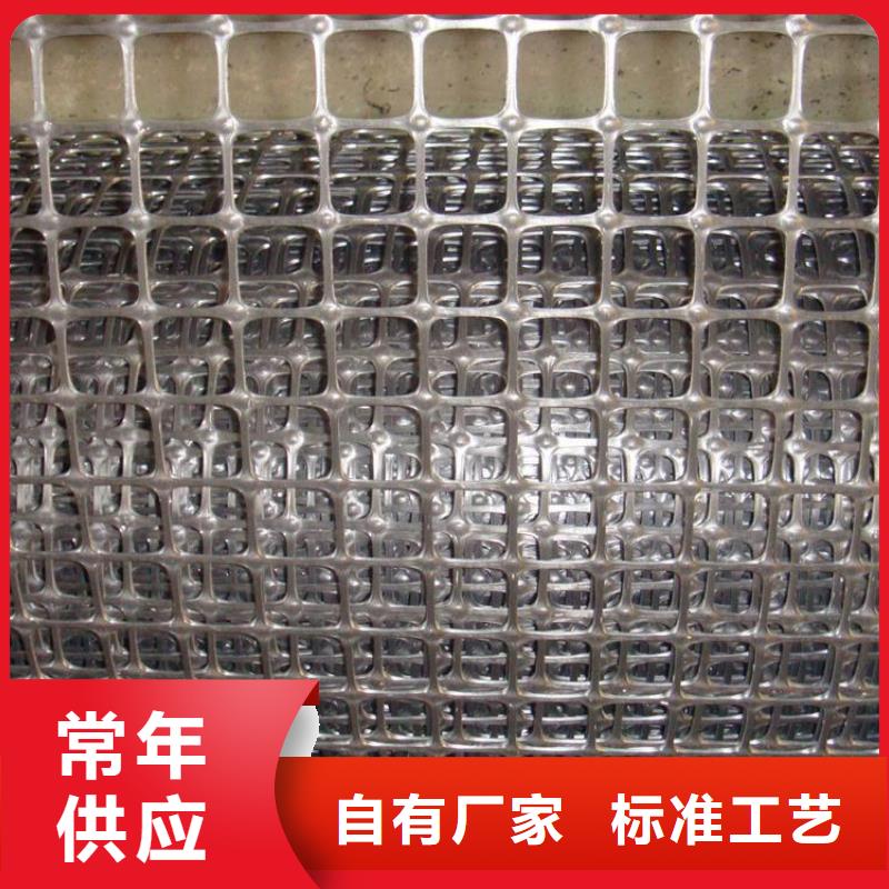 塑料土工格栅-【膨润土防水垫】常年供应质保一年