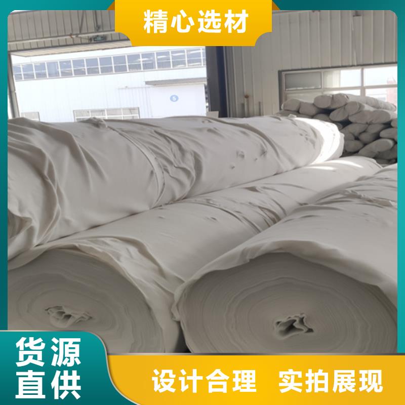 林芝丙纶土工布生产基地长丝土工布价格