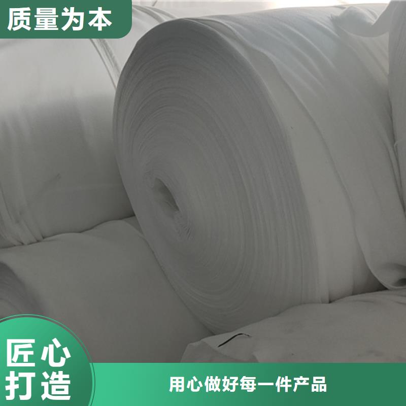 广州短丝土工布生产厂家白色土工布价格