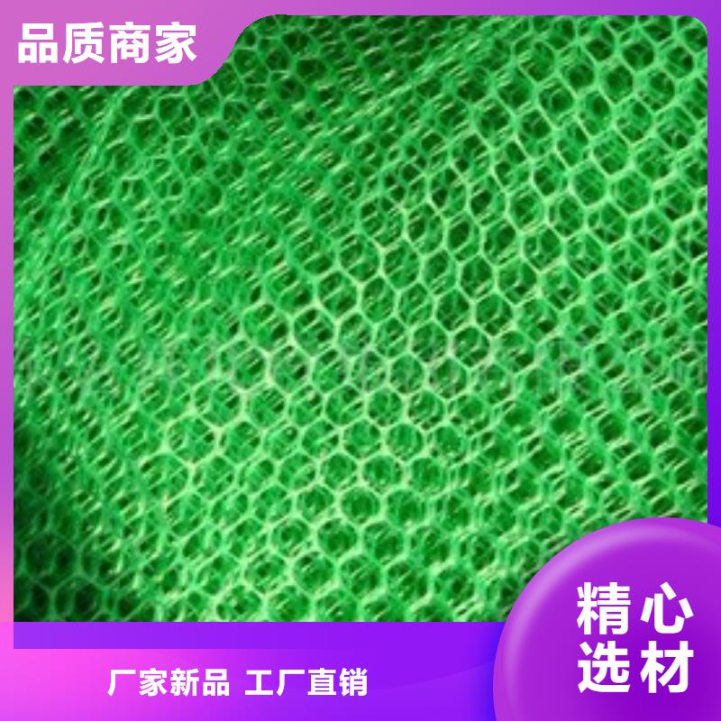 上海三维植被网双向塑料格栅 货源直销