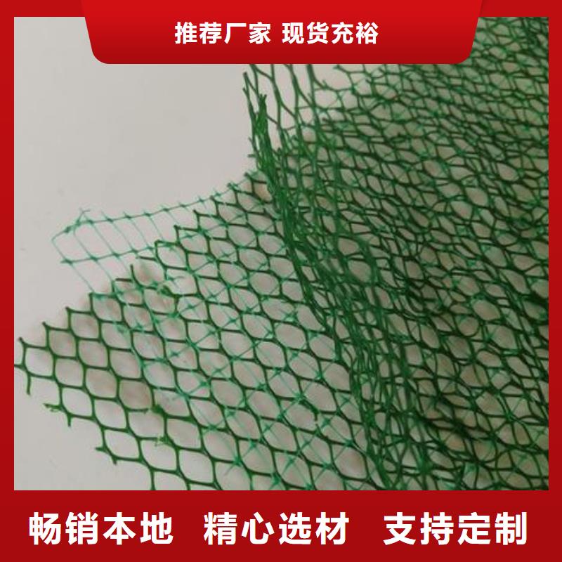 扬州EM3三维植被网价格绿化植草网价格生产厂家