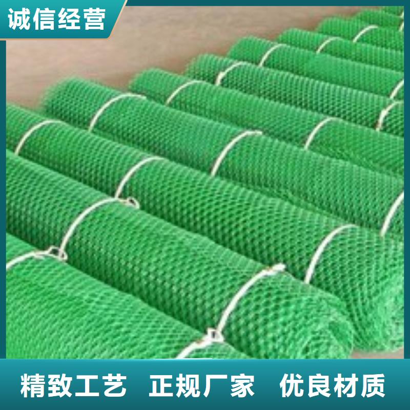 唐山三维植被网厂家三维网垫价格生产厂家