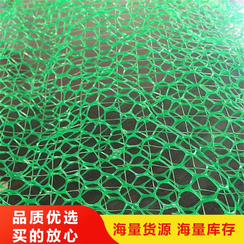 深圳EM3三维植被网价格土工网垫价格生产厂家
