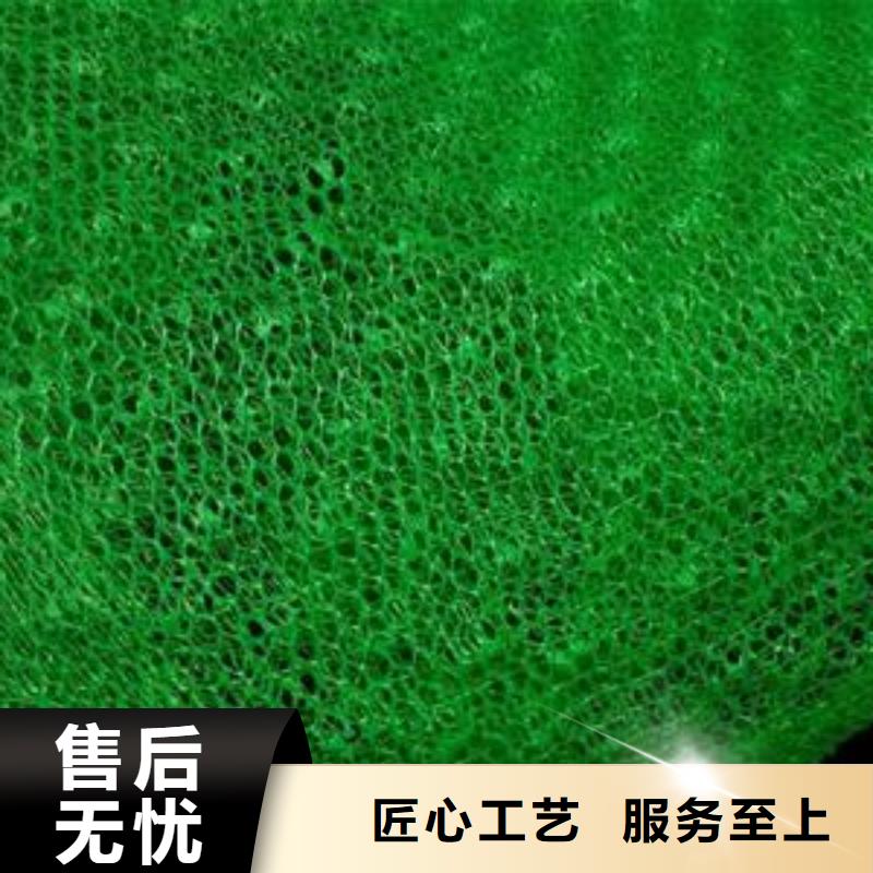 郑州三维土工网垫厂家三维植被网垫价格生产厂家