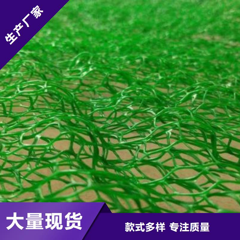 荆州EM3三维植被网价格三维植被网垫价格生产厂家