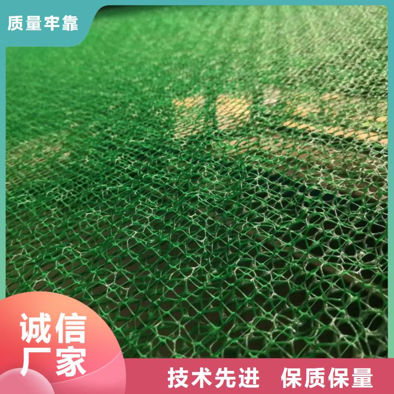 深圳厂家直销三维植被网,护坡土工网,