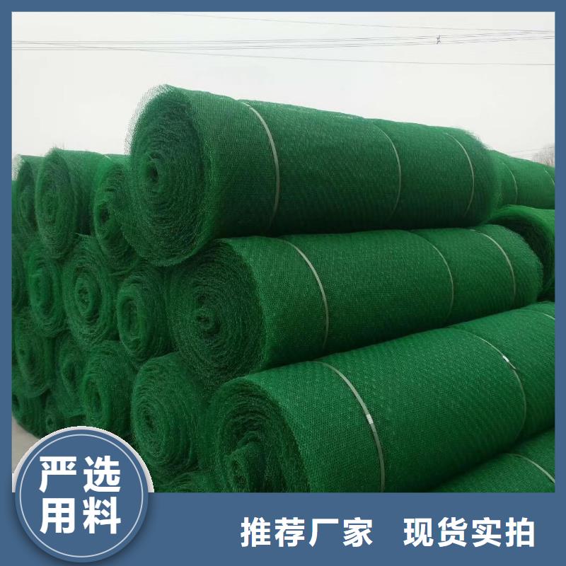 萍乡三维植被网厂家三维网垫价格生产基地