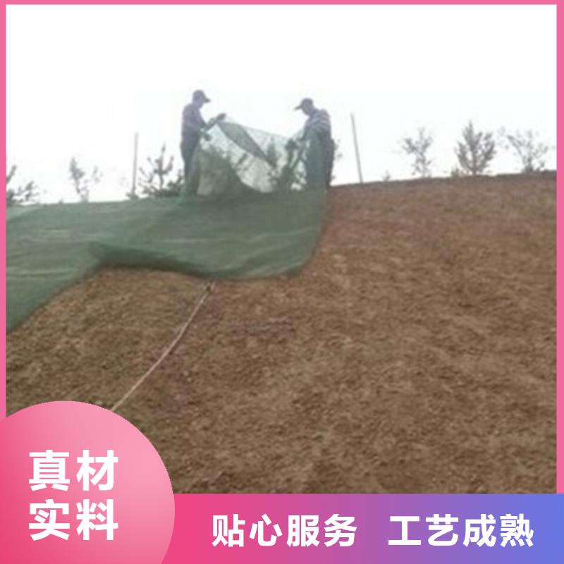 赤峰三维土工网垫厂家土工网垫价格生产基地