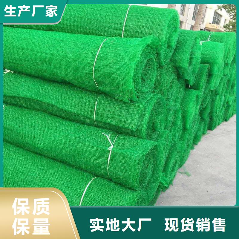 定安县三维土工网垫厂家绿化植草网价格生产基地当地品牌
