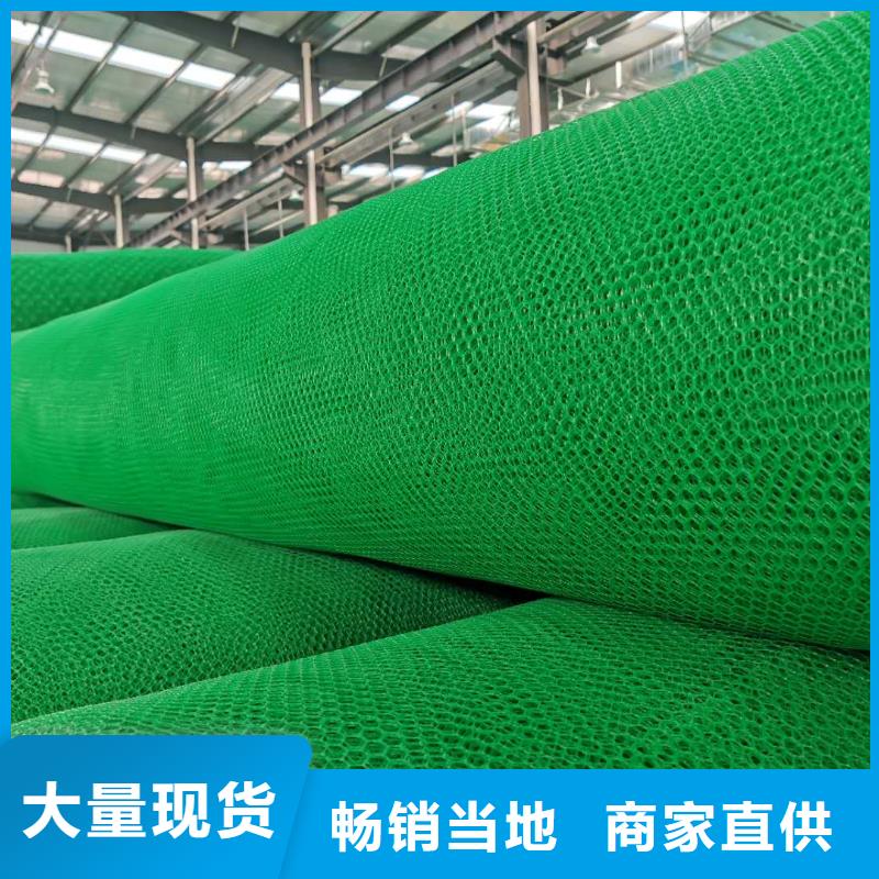 广州护坡三维网厂家三维网垫价格生产厂家