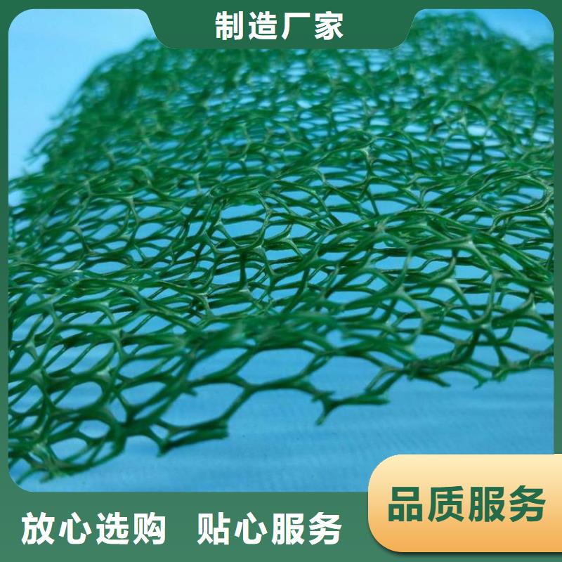 扬州EM3三维植被网价格土工网垫价格生产基地