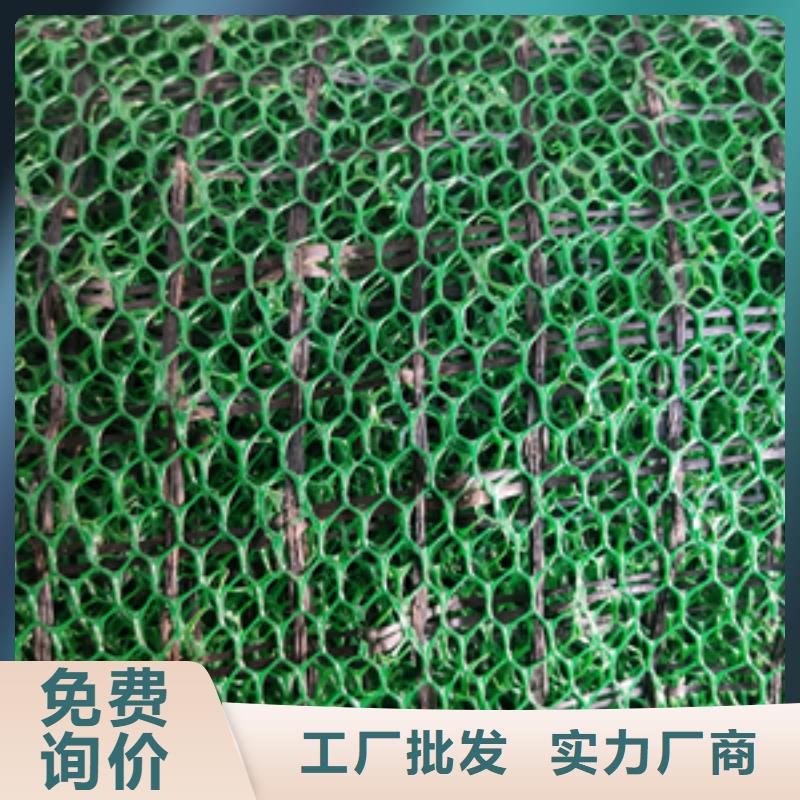 荆州护坡三维网厂家土工网垫价格生产厂家