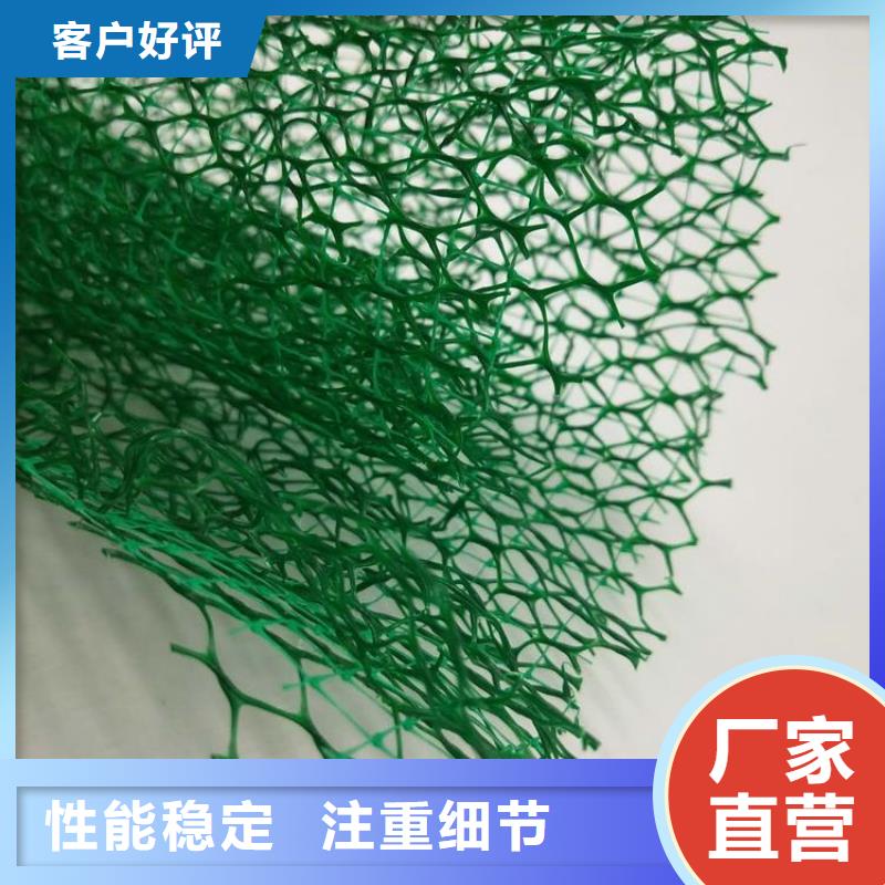 通化护坡三维网厂家三维植被网垫价格生产厂家