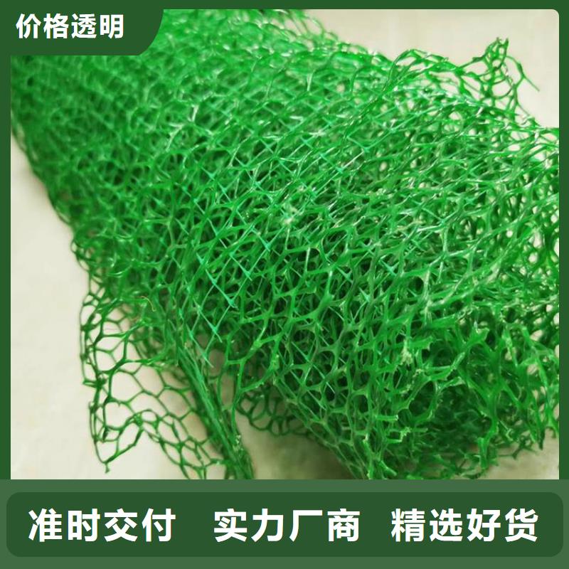 三维植被网单向塑料格栅货真价实多种工艺