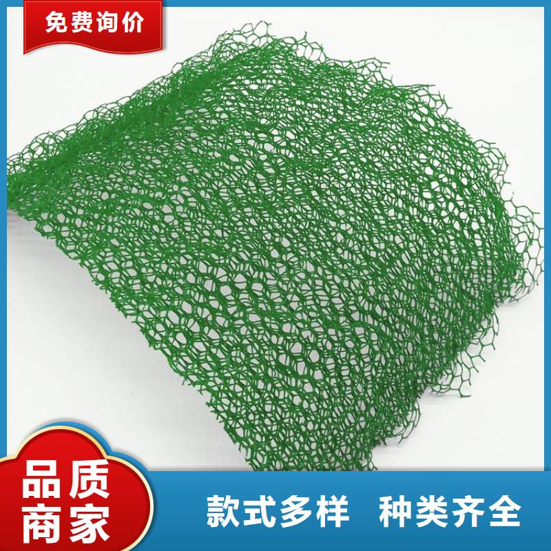 三维植被网-单向塑料格栅品质过硬批发商