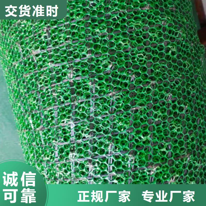 【三维植被网】短丝土工布来图加工定制附近制造商