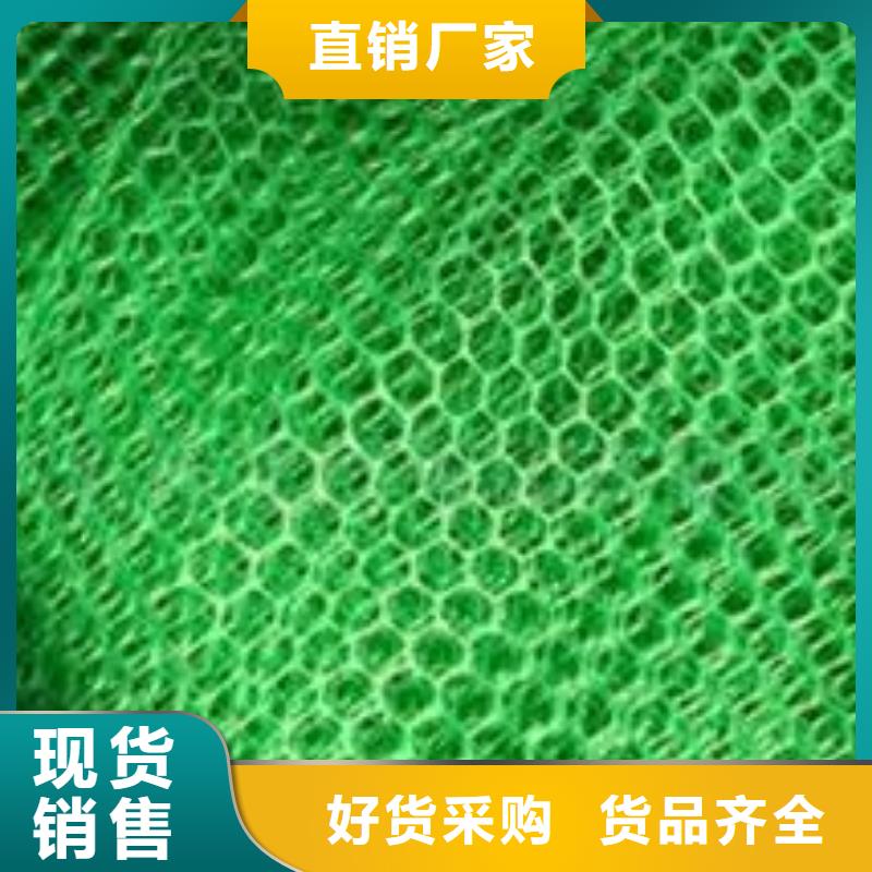 六盘水EM3三维植被网价格三维植被网垫价格生产厂家