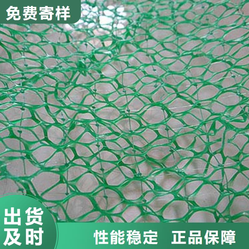 衡阳三维植被网厂家土工网垫价格生产基地