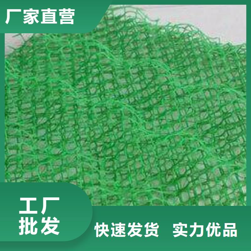 绥化三维植被网厂家三维植被网垫价格生产厂家
