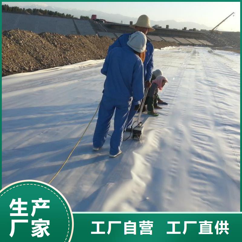 滁州HDPE土工膜价格土工膜多少钱一平土工膜批发