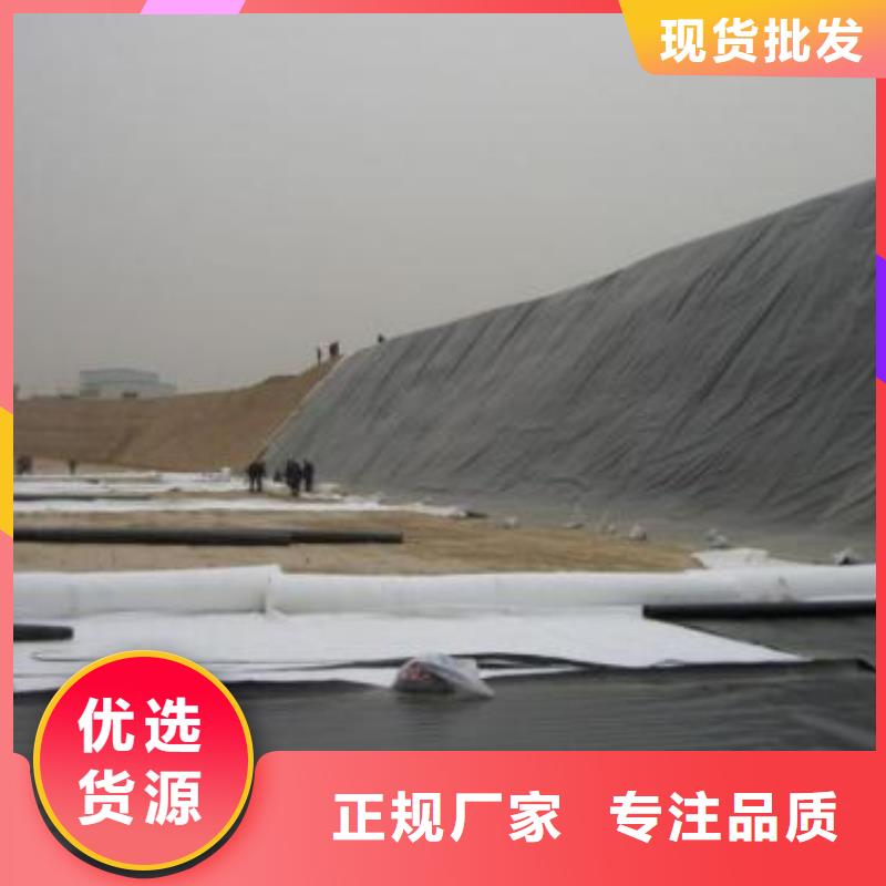上海防渗土工膜垃圾覆盖膜厂家直销