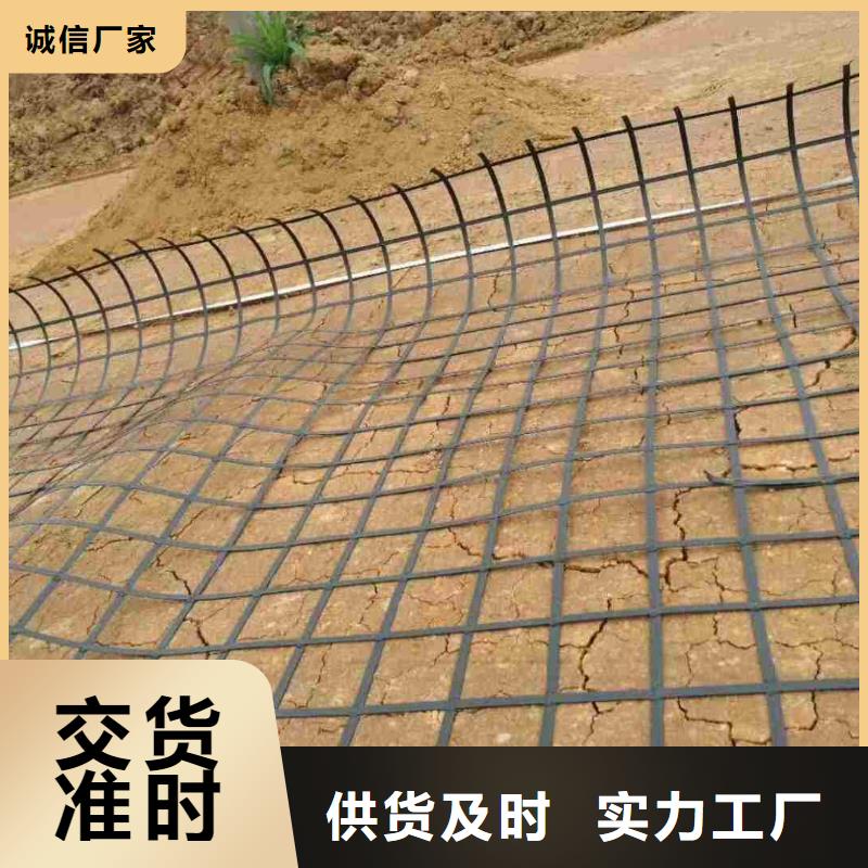 钢塑土工格栅三维复合排水网出厂严格质检定制批发