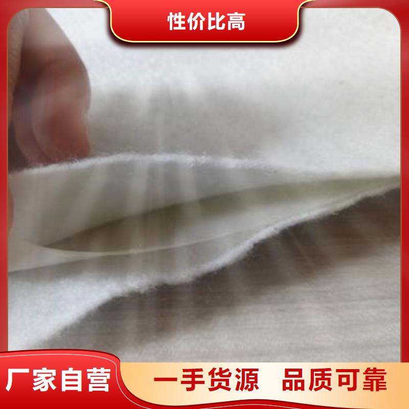 广东土工膜塑料盲沟有实力有经验