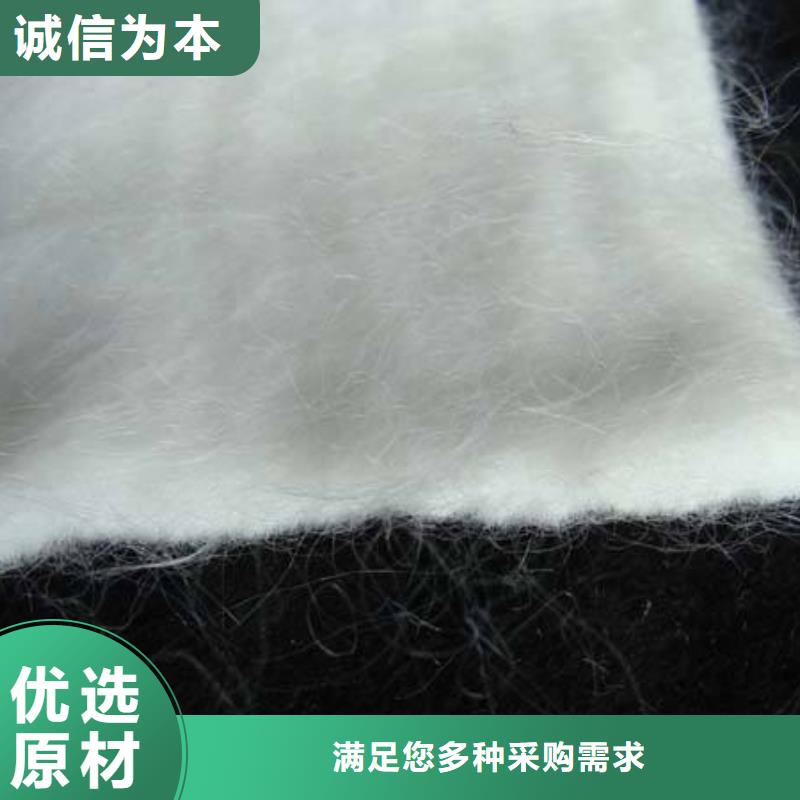 土工布水土保护毯品牌专营工艺精细质保长久