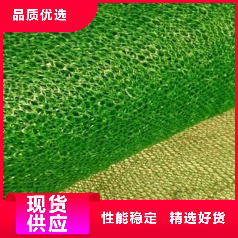 广元护坡绿化三维植被网