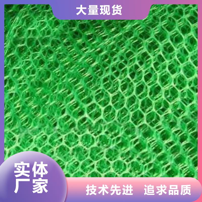 三维植被网毛细排水板厂家供应厂家技术完善