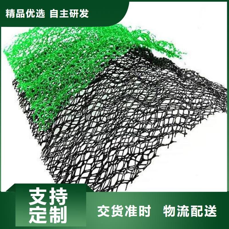 三维植被网加筋土工网垫EM3植被网护坡加筋精品优选