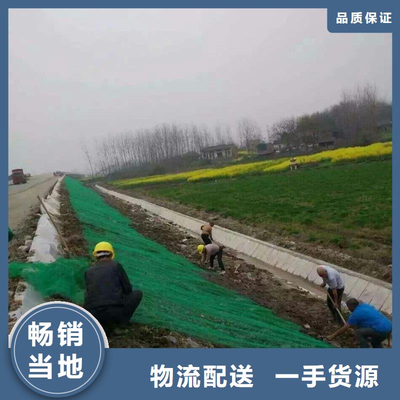 三维植被网水土保护毯好产品价格低实地大厂