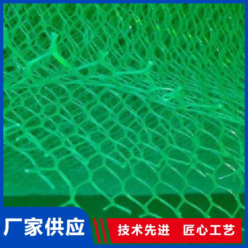 扬州三维土工网垫-三维植被网价格；