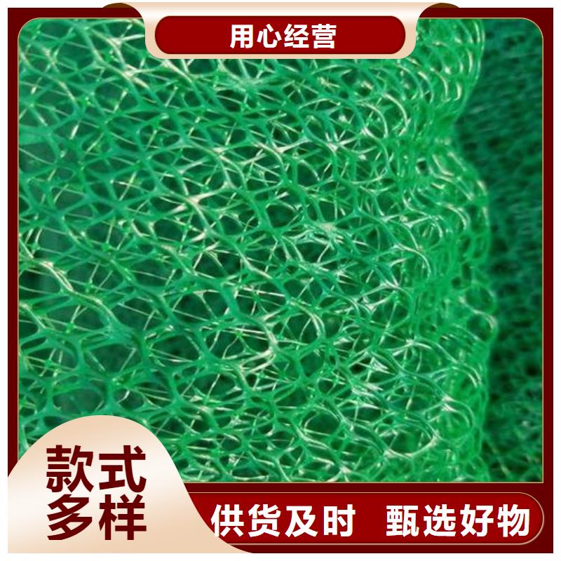 绿色三维网生产三维植被网生产附近服务商